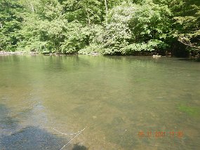 $BaldEagleSpring5-31 thru 6-3-2021035$ Here is where that last fish was living. As are many more but the slower water give the fish a long time to look at your offering....and refuse it!